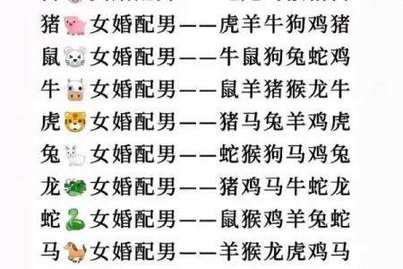 属猪和属兔在一起会幸福吗？生肖配对解析与建议