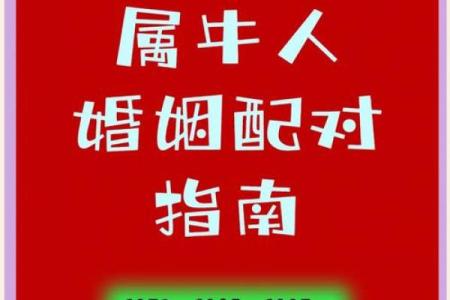 1998年出生的属虎男性与什么属相最配，婚姻幸福长久配对指南