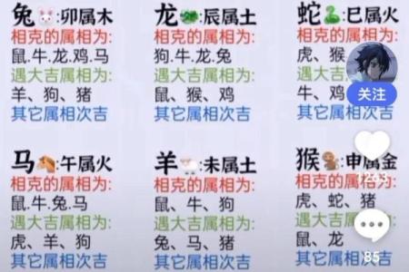 1996年男鼠的最佳婚配属相是哪些具体生肖配对