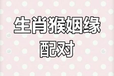 1992年属猴女的最佳配偶属相是什么 1992年属猴女的最佳配偶是哪一年的