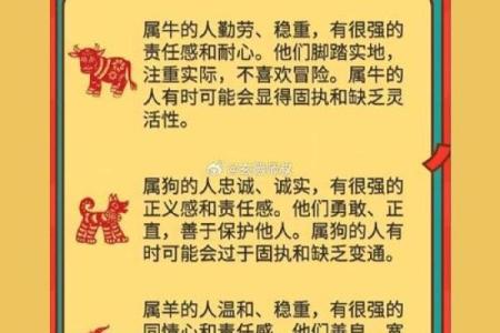 属鼠和属兔的婚配真的合适吗？详细分析性格与命运契合度