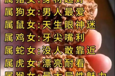 属马的人最佳婚配属相是哪些，属羊和属虎真的合适吗？