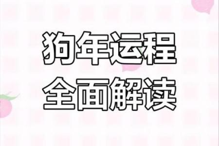 属狗人2025年运势详解：事业财运与健康需要注意哪些方面？