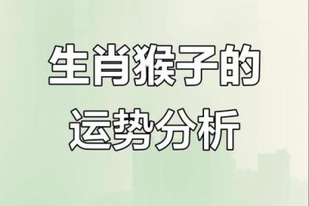 两个属猴的在一起合不合 两个属猴的在一起合不合04年