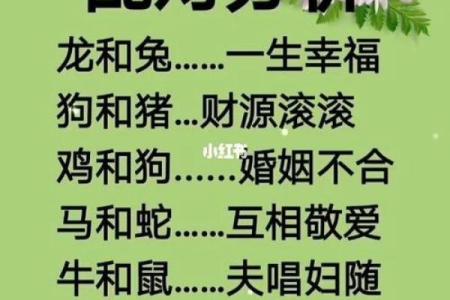 马和鼠的属相合不合 马兔两生肖相冲吗