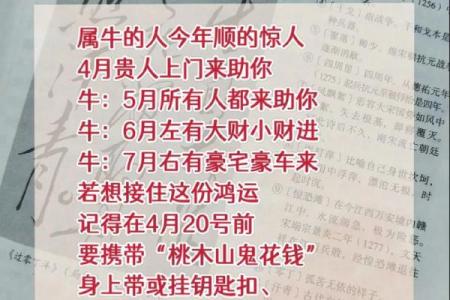 97年的属相是属什么的(97年属什么生肖属相是什么年)