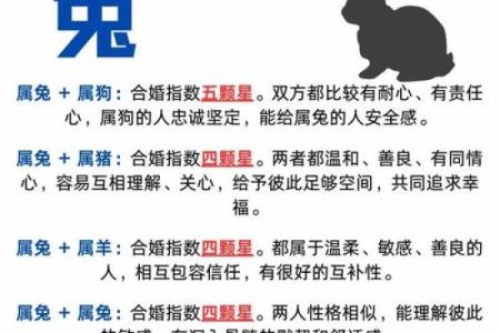从生肖配对角度分析属兔和什么属相最配且婚姻幸福