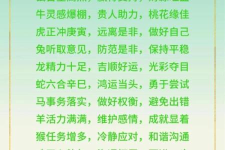 2025年属鼠的运势解析，感情和健康方面需要注意什么？