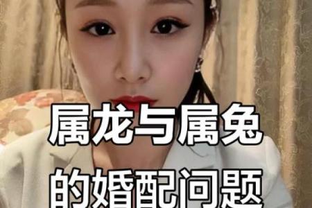 1999年兔和2000年龙婚配的生肖相冲问题如何化解