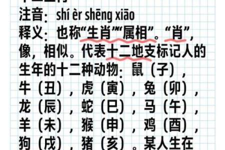 万马齐喑着个成语最适合用来形容哪个生肖的性格特点？