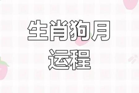 2023年属狗的今年几岁，虚岁和周岁的计算方法详解