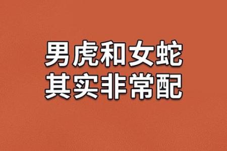 属虎的最佳婚配生肖是哪些属相比较合适长久