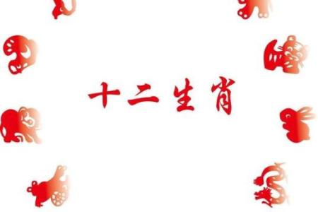 87年属兔的婚姻运势如何，哪一年容易有感情危机？