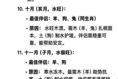 属兔的最佳婚配属相是哪些请详细解析