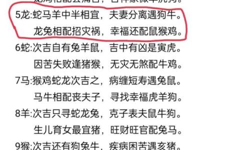 98年和00龙属相合不合 98年的虎跟00年的龙相克吗