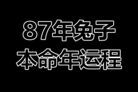 属兔的人今日运势360星座网