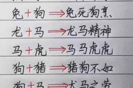 哪些属相不能 什么属相不能是真的还是假的