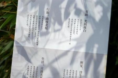 老八辈子是什么意思(老八辈子是什么意思网络用语)