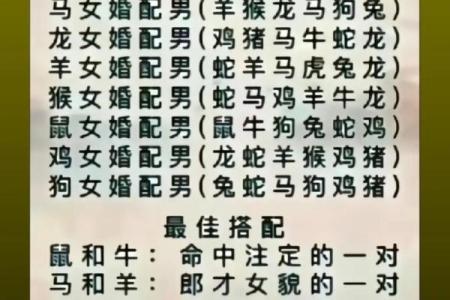 从生肖命理看男猴女虎的婚配优缺点，是否真的相克还是绝配？