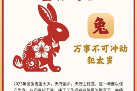 1987年出生的属兔者感情运势如何？桃花劫具体指哪些人或事？