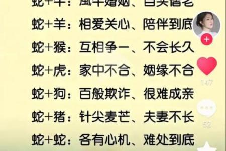 从生肖配对角度分析属狗和属兔的婚姻是否长久幸福