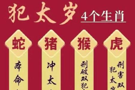 属龙和属虎的婚配是否相合？解析传统生肖配对说法