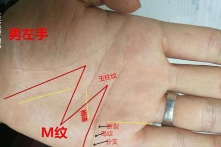 手相中无名指比食指长有什么说法 看手相无名指比食指长属于什么命