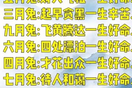 生肖兔和生肖狗在一起婚姻会幸福吗适合结婚吗