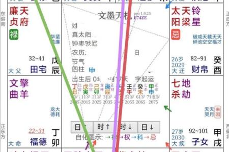杨老师紫微免费算命