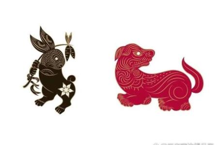 狗和兔子属相婚配是否合适，需要注意哪些方面？
