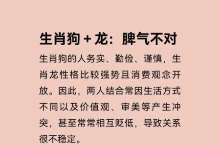 狗最不合的四个属相 狗最不合的四个属相