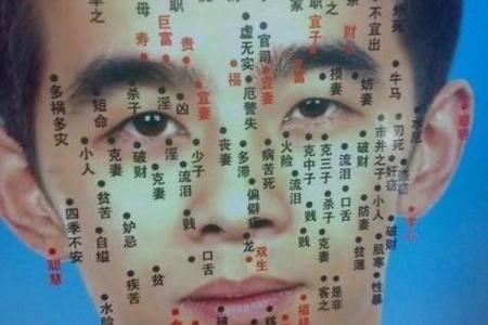 男人眉毛浓有什么说法 男人眉毛淡而稀的面相解说