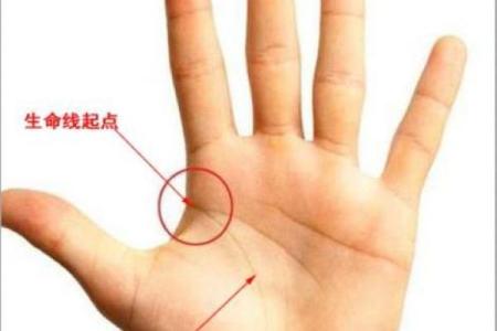男人手相看哪只手 男人左手手纹算命图解