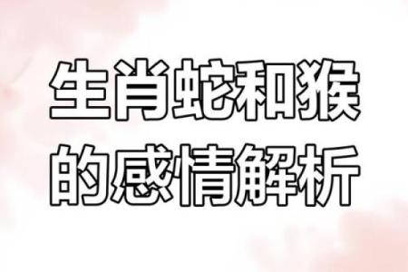 2001年的蛇男最佳婚配属相 2001年的蛇男最佳婚配属相是什么