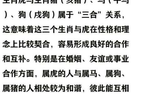 属虎的人找对象和哪个生肖最合得来，婚姻生活能幸福美满？