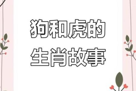 男虎女狗属相合不合 男虎女狗千万别在一起