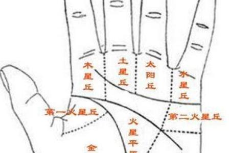 指纹算命网(指纹算命运势大全)