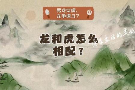 龙女虎男属相合不合 龙女虎男相冲吗