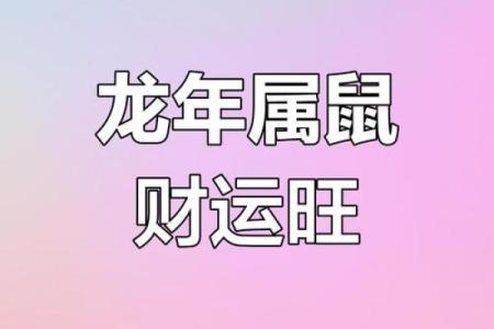 2024年属鼠1972年出生全年运势如何？事业感情运势分析