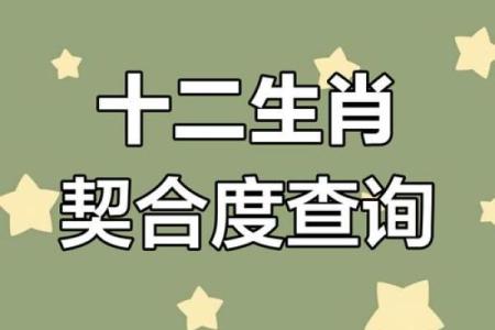 虎年比蛇年大3岁的婚姻配对真的合适吗？从生肖角度分析婚配优缺点