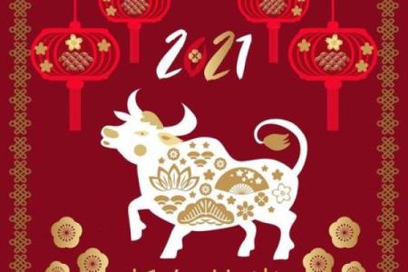 男猪和女牛的属相合不合 男猪女牛婚姻相配吗