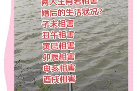 老鼠和羊的属相合不合 老鼠跟羊属相相冲吗