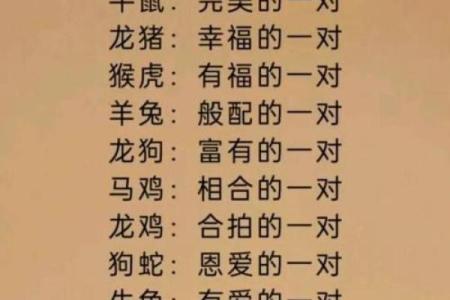 从性格角度分析男虎女兔的婚姻匹配度，需要注意哪些方面？