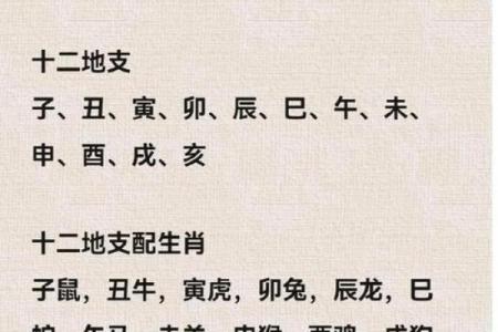 属鼠的人在2025年虚岁究竟是多少岁，如何准确计算生肖年龄？