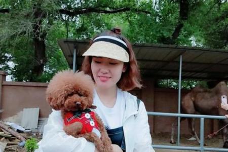 倚马千言打一生肖正确答案及详细解析分享