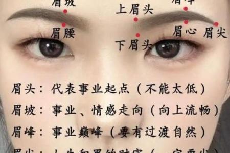 眉毛有什么说法风水 眉毛的风水相学说