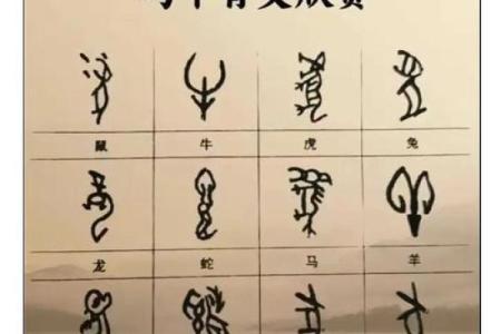 天字出头一字高打一生肖的完整解释，如何从字形上推断出正确答案？