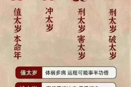什么叫化太岁 什么叫化太岁是啥意思