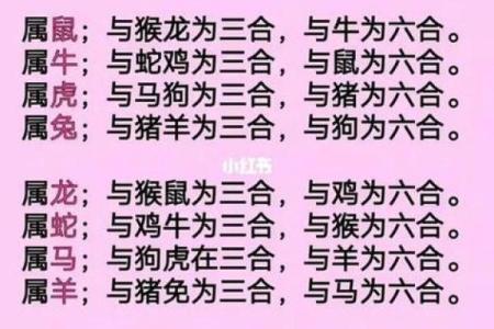 属虎和属鸡的婚配是否合适？解析生肖配对中的相合与相冲关系