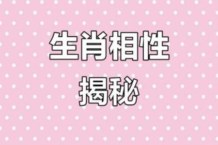 老鼠和蛇的属相合不合 老鼠和蛇的属相合不合婚姻